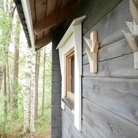 Tatil Evi Moekki Aapola Puumala