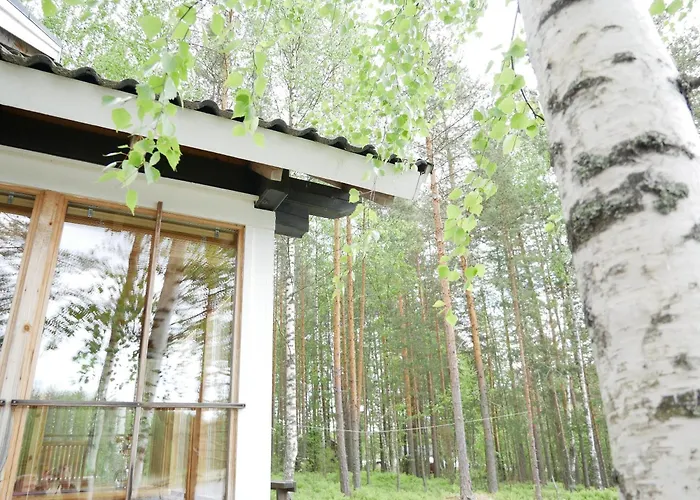 Moekki Aapola * Puumala